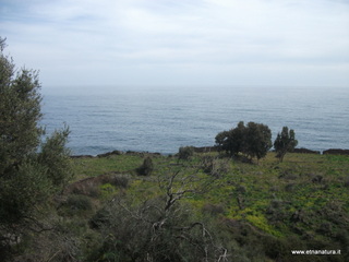 zzena-30-03-2013 11-58-53